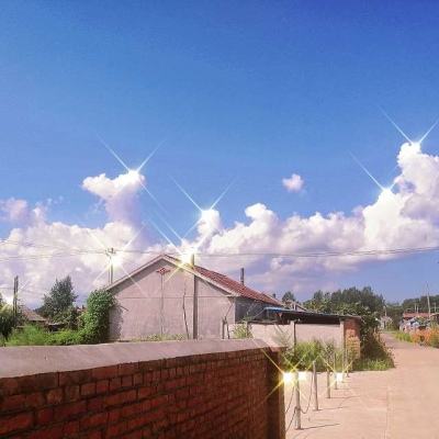 米乐·M6手机app下载